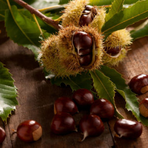castagne